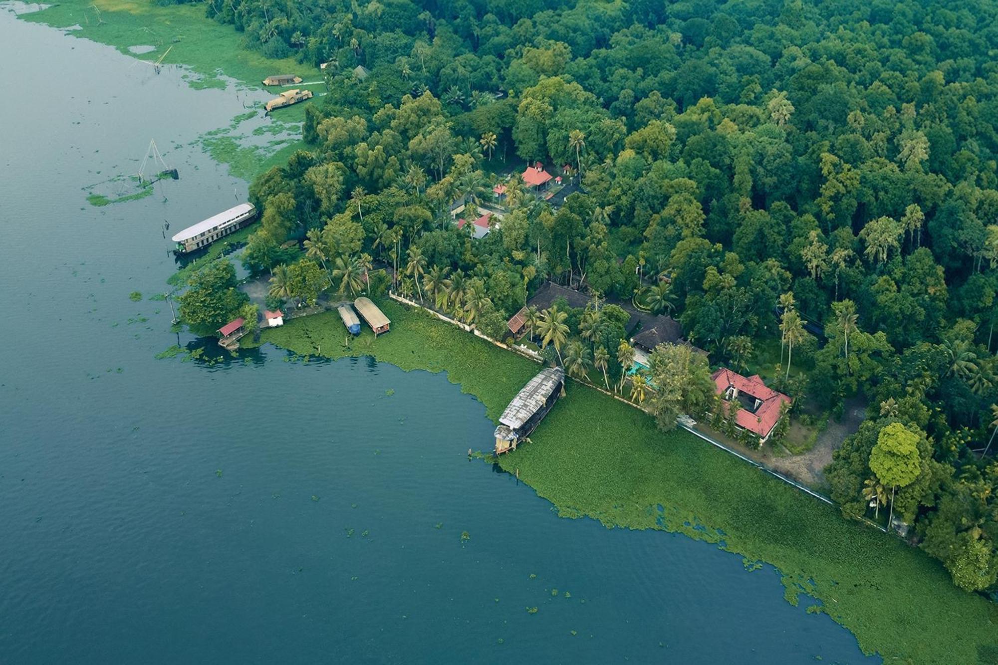Blusalzz Villa - Muhamma, Alleppey - Kerala Alappuzha Exteriör bild